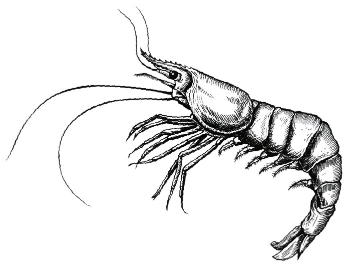 Les Entrées au Restaurant L'Écluse à Vertou